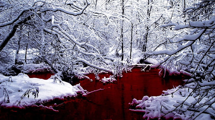 cuerpo de agua, paisaje, invierno, nieve, Fondo de pantalla HD