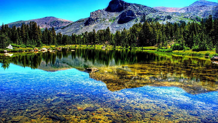 Lake Tahoe Mountain Pine Forest Reflexão de águas cristalinas Emerald Bay State Park é um parque estadual da Califórnia nos Estados Unidos 2560 × 1440, HD papel de parede