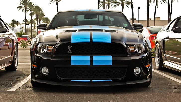 Shelby GT500, Ford Shelby GT500, car, HD wallpaper