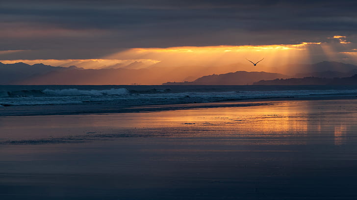 mer, plage, le ciel, vol, coucher de soleil, nuages, l'océan, oiseau, rivage, côte, le soir, Nouvelle-Zélande, silhouette, orange, Fond d'écran HD
