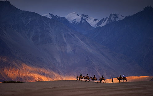 поход на камили тапет, природа, пейзаж, небе, скала, планини, сняг, пустиня, камили, хора, слънчева светлина, HD тапет HD wallpaper