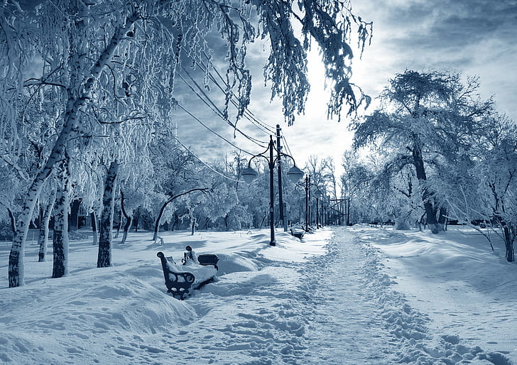 musim dingin, putih, biru, salju, musim, Wallpaper HD
