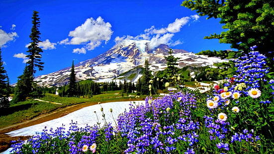 spring, flower, flowery, flowers, sky, mountains, HD wallpaper HD wallpaper
