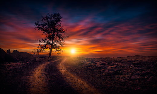 tramonto, natura, fotografia, hd, 4k, 8k, Sfondo HD HD wallpaper