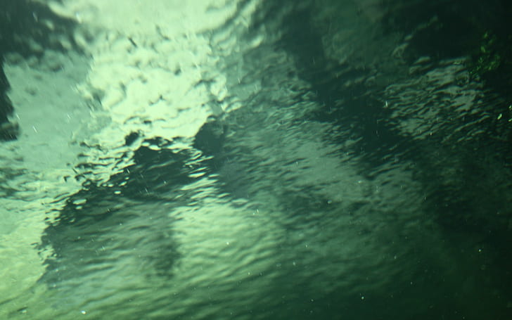 Underwater HD, nature, underwater, HD wallpaper