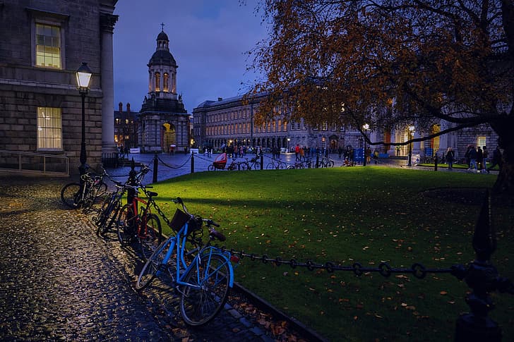 tree, building, home, area, lantern, Ireland, night city, bikes, Dublin, Парламентская площадь, Parliament Square, HD wallpaper
