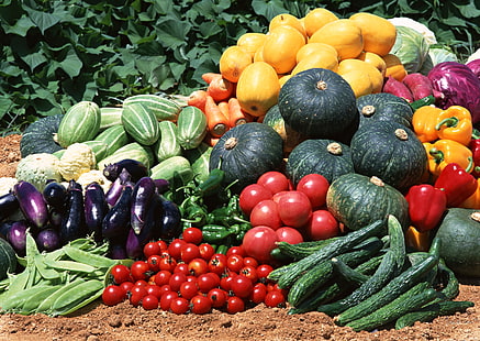 variedad de frutas, pepinos, tomates, calabazas, verduras, Fondo de pantalla HD HD wallpaper