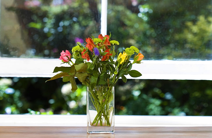 rote und rosa Blütenblätter, Rosen, Blumen, klein, Vase, Kasten, HD-Hintergrundbild