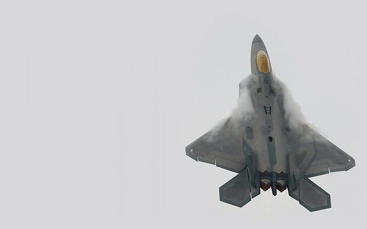 F-22 Raptor Uçağı, gri nasa uzay aracı, f-22, raptor, uçak, HD masaüstü duvar kağıdı