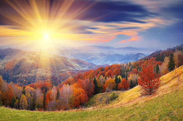 가을, 4k, 8k, 채색, 새벽, 산, 나무, HD 배경 화면