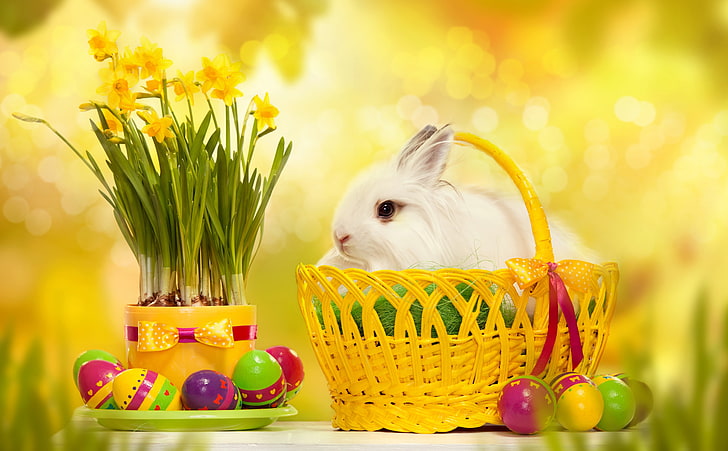 Coniglietto di pasqua felice, coniglio bianco, feste, pasqua, primavera, fiori, festa, felicità, uova di Pasqua, 2014, Sfondo HD