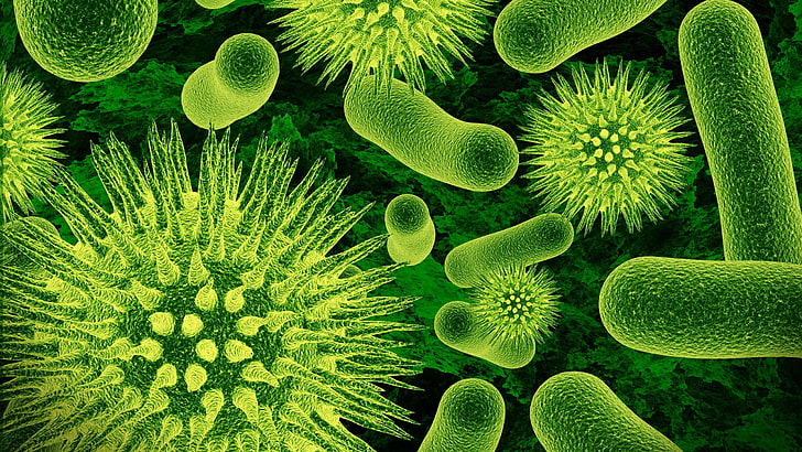 microscopic photo of bacteria, nature, closeup, microscopic, viruses, bacteria, science, green, biology, HD wallpaper