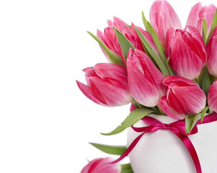 różowe kwiaty tulipanów, tulipany, kwiaty, bukiet, wazon, kokarda, pąki kwiatowe, Tapety HD