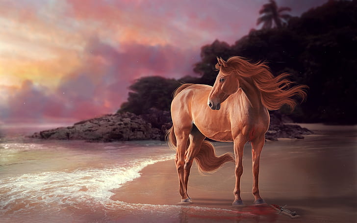 Djur, häst, konstnärlig, strand, solnedgång, HD tapet