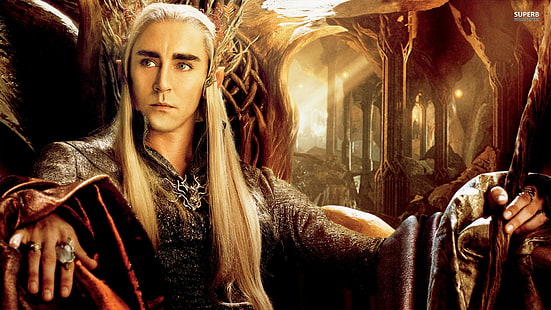 movie, Movies, 1920x1080, Lee Pace, The Hobbit, The Desolation of Smaug, Thranduil, HD wallpaper HD wallpaper