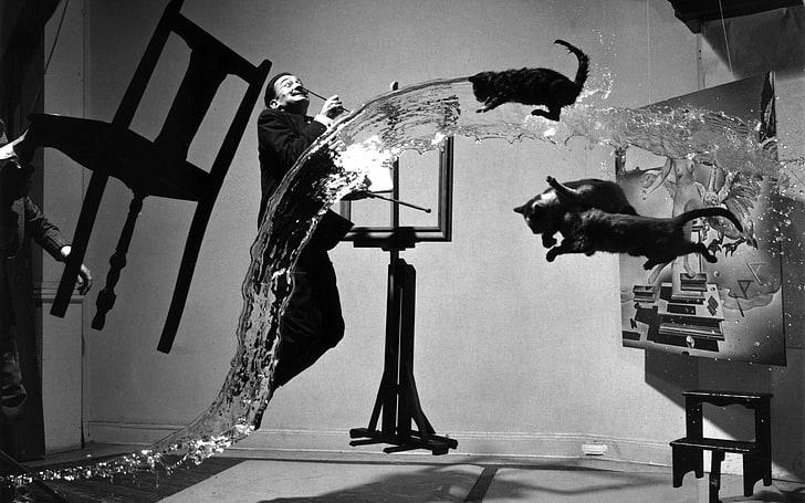 man ritning målning \], Salvador Dalí, svartvit, katt, abstrakt, konstverk, män, HD tapet