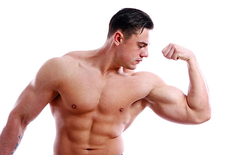bodybuilding, bodybuilding, fitness, lyft, muskler, muskler, vikt, HD tapet HD wallpaper