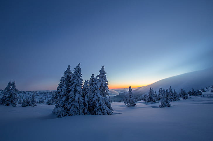 Landscape, dark, nature, snow, trees, HD wallpaper | Wallpaperbetter