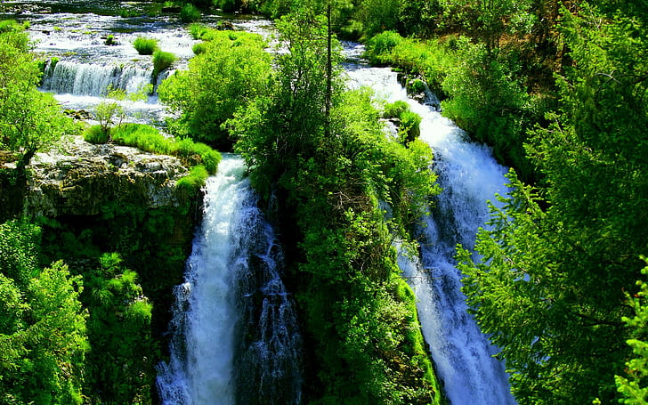 Waterfall Forest HD, chutes d'eau, nature, forêt, cascade, Fond d'écran HD
