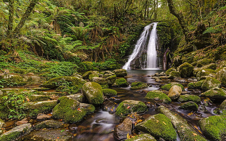 Vattenfall Moss Rocks Stones Forest Jungle Stream Green HD, natur, grön, skog, stenar, stenar, vattenfall, bäck, mossa, djungel, HD tapet