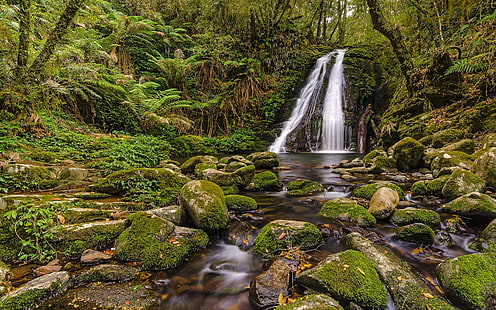Cachoeira musgo rochas pedras floresta selva fluxo verde HD, natureza, verde, floresta, rochas, pedras, cachoeira, fluxo, musgo, selva, HD papel de parede HD wallpaper