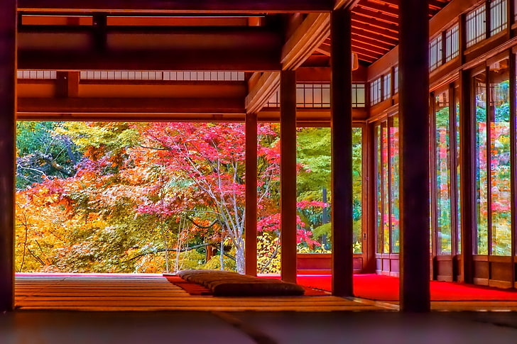 Photography, Oriental, Fall, Foliage, Japan, Japanese, Tree, HD wallpaper
