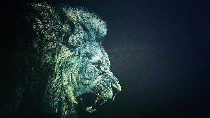 lion illustration, lion, animals, simple, photo manipulation, HD wallpaper