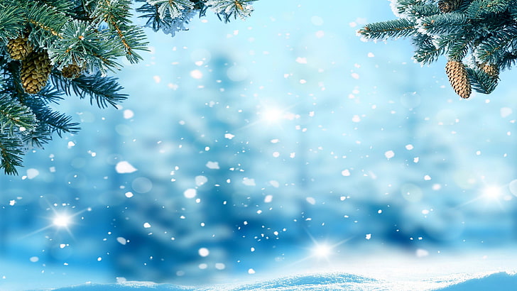 bleu, ciel, arbre, pin, neige, épicéa, hiver, sapin, branche, chute de neige, à feuilles persistantes, jour de Noël, gel, Fond d'écran HD