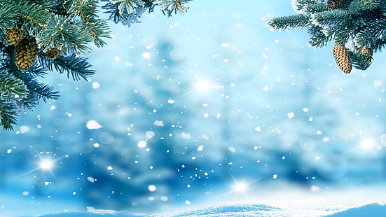 biru, langit, pohon, pinus, salju, cemara, musim dingin, cemara, cabang, salju turun, hijau sepanjang hari, hari natal, beku, Wallpaper HD HD wallpaper
