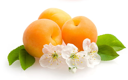 три желтых персика, фрукты, цветы, абрикосы, листья, HD обои HD wallpaper