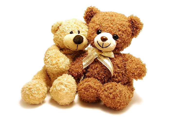 two brown bear plush toys, toy, bear, pair, plush, cute, Teddy, HD wallpaper