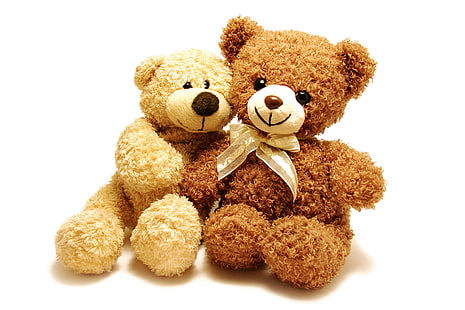 dwie zabawki pluszowe niedźwiedź brunatny, zabawka, miś, para, plusz, słodki, miś, Tapety HD HD wallpaper