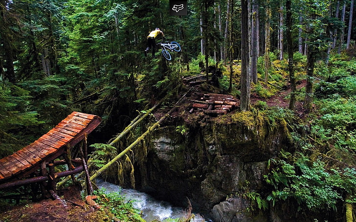 épave pont en bois brun, sports, forêt, vélo, Fond d'écran HD