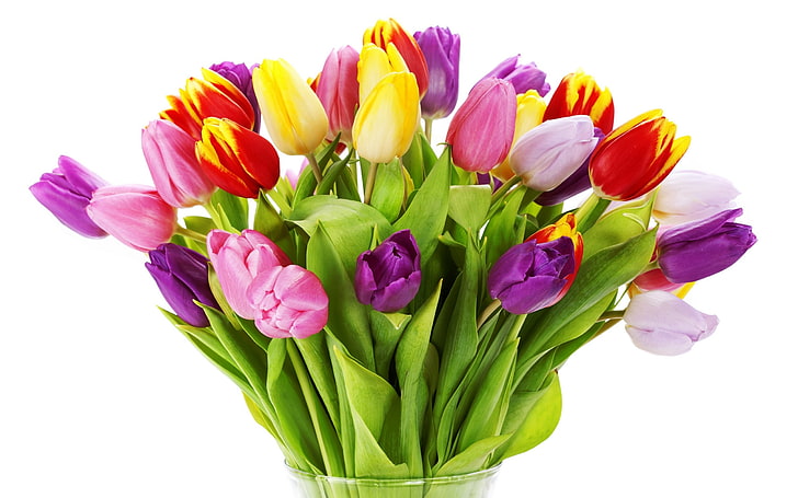 yellow, pink, and white tulip arrangement, flowers, bright, beauty, bouquet, petals, purple, red, vase, pink, white, colorful, yellow, lilac, violet, Tulips, varicoloured, HD wallpaper