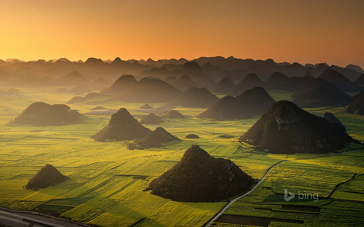 Vast plains-Bing theme wallpaper, green rice field, HD wallpaper