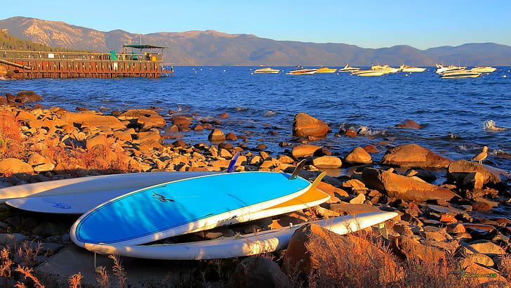 Дъски за сърф на скалист бряг, сини и бели дъски, сърф, брег, скали, лодки, природа и пейзажи, HD тапет