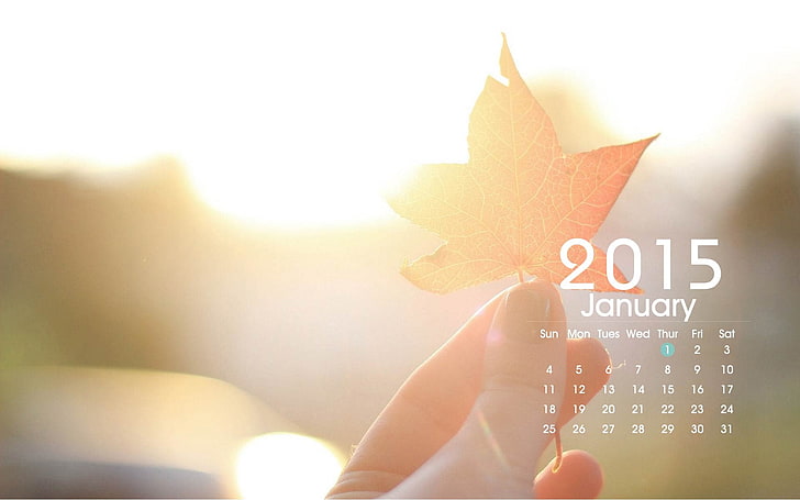 January-2015 Calendar Desktop Themes Wallpaper, 2015 January calendar wallpaper, HD wallpaper