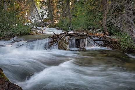 timelapse photo of river on forest during daytime, jenny lake, grand teton np, jenny lake, grand teton np, Hidden Falls, Jenny Lake, Grand Teton, NP, timelapse, photo, river, forest, daytime, Beaver Creek, geo, lat, lon, geotagged, Moose, United States, USA, Adventure, Alta WY, Cascade Canyon Trail, Cascade Creek, Creekside, Explore, Exploring, Flowing, Water, Grand Teton National Park, Waterfall, Hiking, https, National Park Service, Natural Wonder, Nature, Outdoor, Pine Tree, Tree  River, Riverside, Scenic, Spot, View, Spring, Teton County, Tourism, Tourist Attraction, Travel Blog, Travel Photography, Traveling, Adventures, U.S. National Park Service, National Park, Water Feature, Mist, Waterscape, World Travel, WY, Wyoming, stream, tree, outdoors, scenics, freshness, landscape, leaf, beauty In Nature, flowing Water, rock - Object, HD wallpaper HD wallpaper