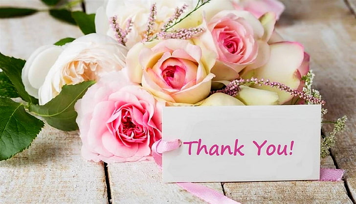 ベージュとピンクのバラの花、花、バラ、花束、ありがとう、カード、カード、 HDデスクトップの壁紙