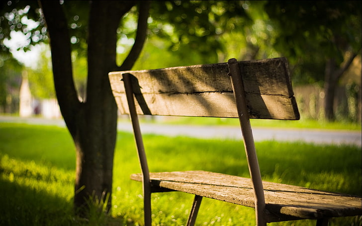 brown wooden outdoor bench, greens, summer, leaves, the sun, rays, light, trees, bench, nature, background, Wallpaper, shadow, plants, day, shop, grass, wallpapers, HD wallpaper