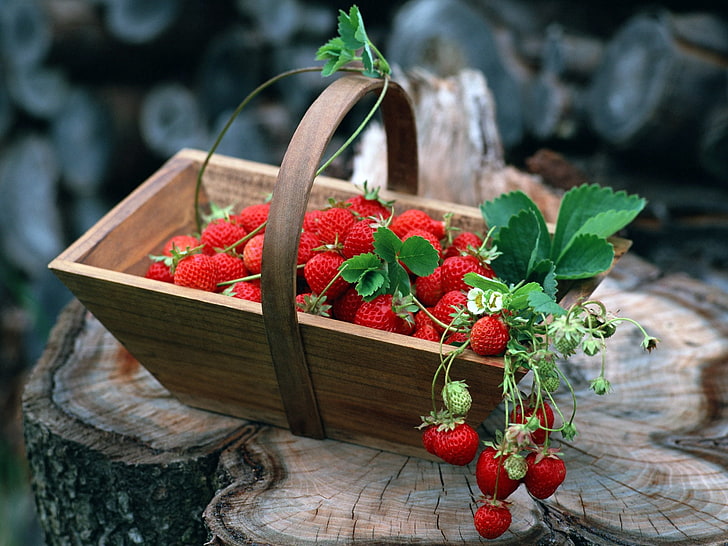 basket of strawberries, strawberry, food, basket, berries, HD wallpaper