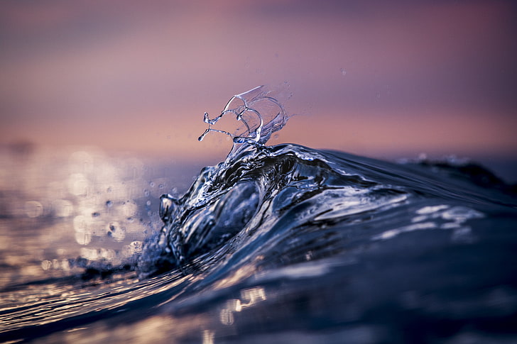 badan air, makro, air, laut, Florian Gruet, 500px, Wallpaper HD