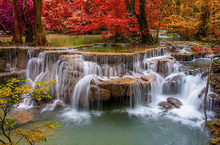 red leafed trees, autumn, forest, stream, stones, waterfall, thresholds, HD wallpaper
