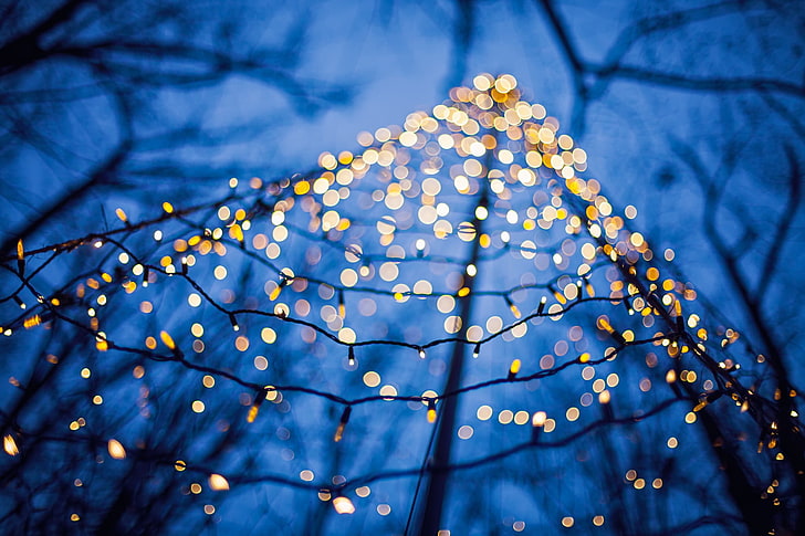 striscia LED gialla, fotografia con messa a fuoco selettiva di luci stringa, luci, inverno, bokeh, alberi, luci natalizie, profondità di campo, Sfondo HD
