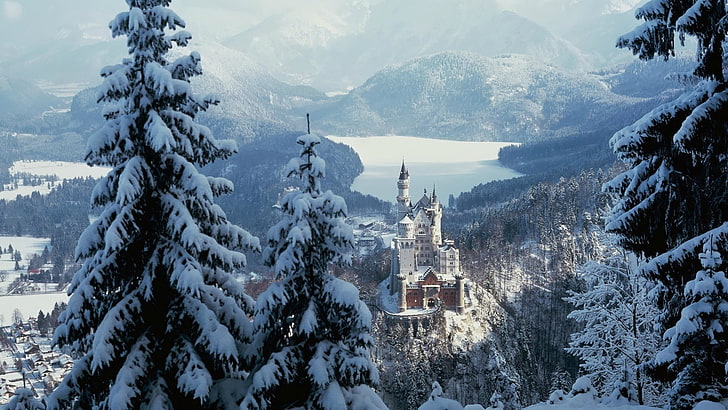 vinter, slott, sjö, Neuschwanstein slott, HD tapet