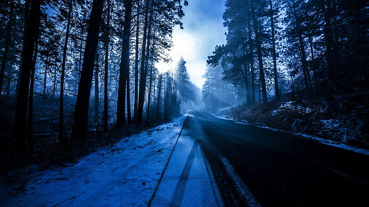 Trees, forest, road, snow, winter, sun rays, blue, black concrete road between trees, Trees, Forest, Road, Snow, Winter, Sun, Rays, Blue, HD wallpaper