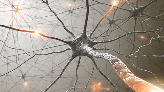 Künstlerisch, Neuron, HD-Hintergrundbild HD wallpaper