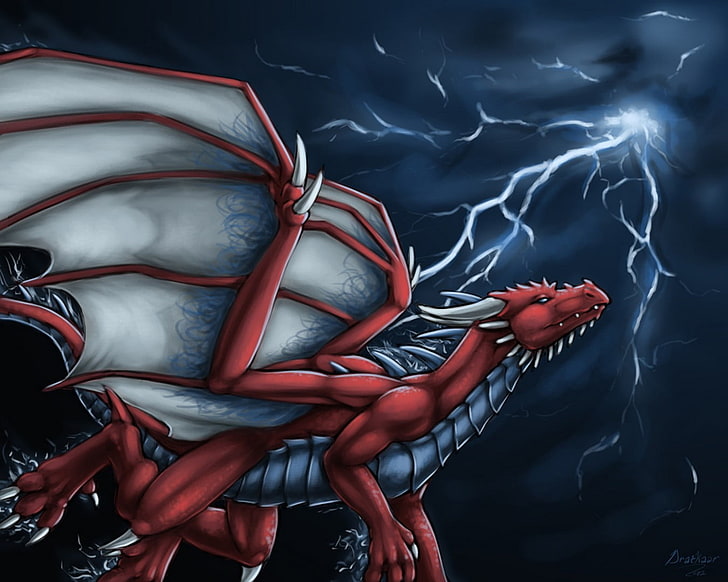 red and gray dragon illustration, dragon, HD wallpaper