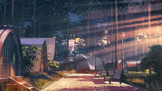 ArseniXC, verano eterno, bosque, luz solar, Fondo de pantalla HD HD wallpaper