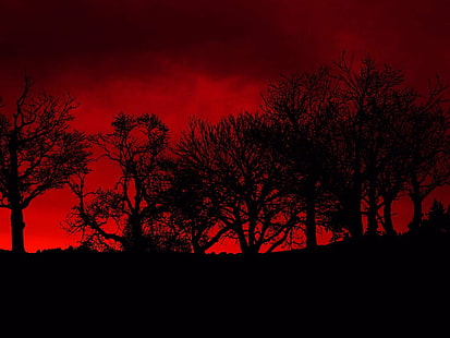кровь, яд, красный, небоскребы, деревья, HD обои HD wallpaper